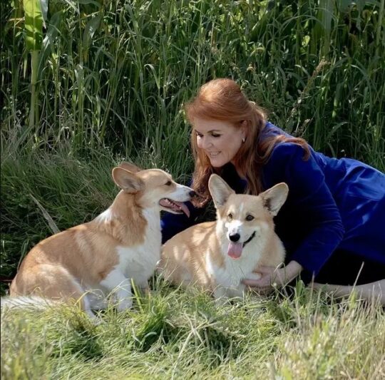 Σάρα Φέγκιουσον