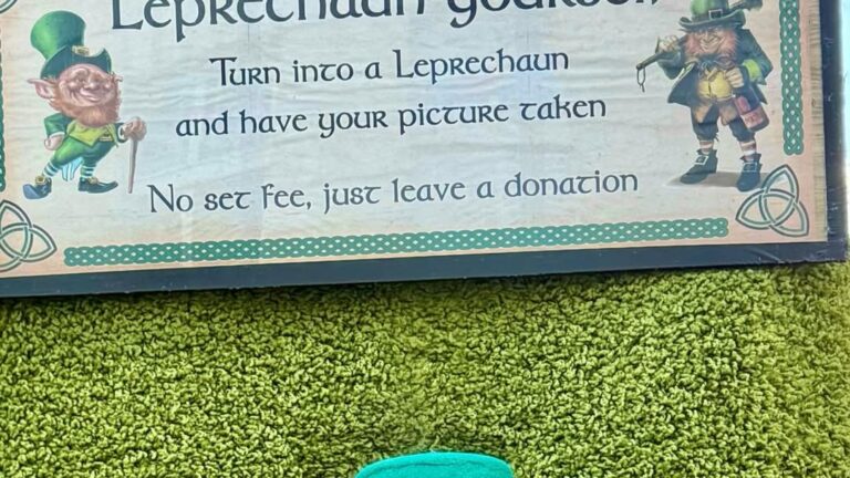 Μενεγάκη στο Δουβλίνο